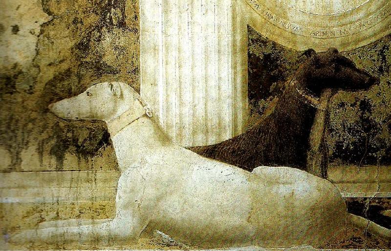 Piero della Francesca detail of the dogs from st sigismund  and sigismondo pandolfo malatesta China oil painting art